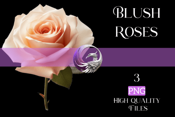 Embracing the Soft Power of Blush Colored Roses