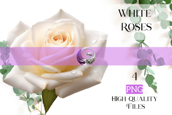 White Roses for the 2023 Summer Season